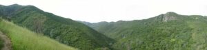 coldcanyon